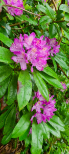 St Catherine's Castle 17