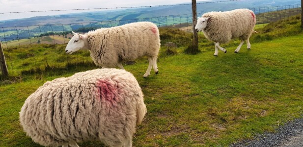 Stanage Edge 3