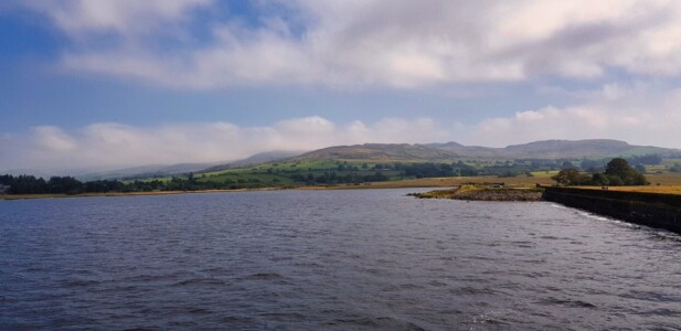 Trawsfynydd Lake 8