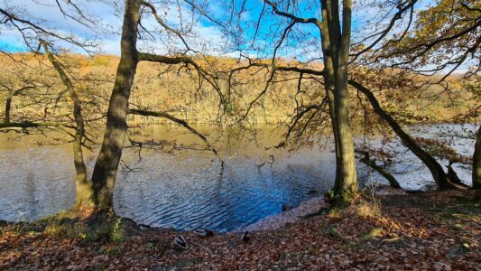 Upper Linacre Reservoir 17