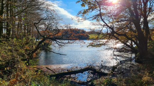 Upper Linacre Reservoir 8