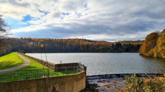 Upper Linacre Reservoir 7