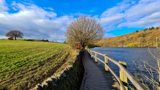 Upper Linacre Reservoir 5