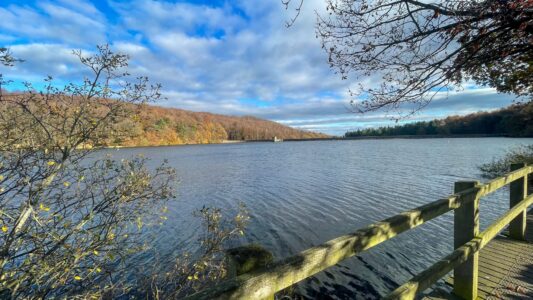 Upper Linacre Reservoir 15