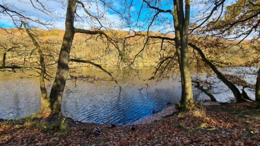 Upper Linacre Reservoir 18
