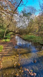 Upper Linacre Reservoir 11