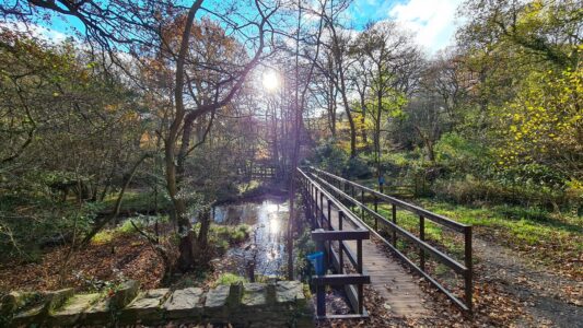 Upper Linacre Reservoir 19