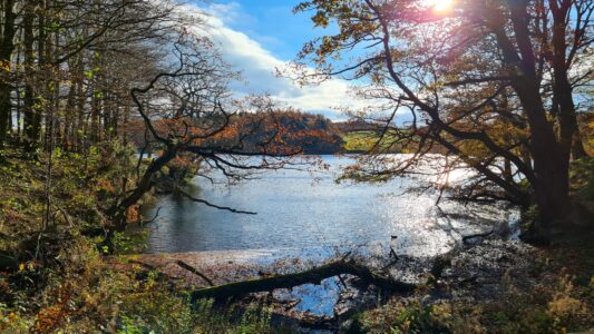 Upper Linacre Reservoir 9