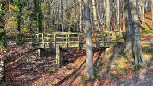 Upper Linacre Reservoir 16