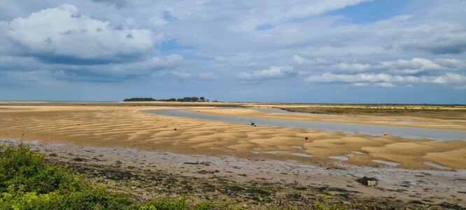 Wells-next-the-Sea 12