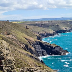Wheal Coates 49