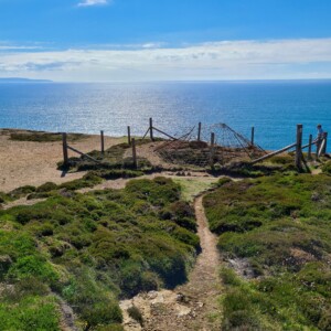 Wheal Coates 29