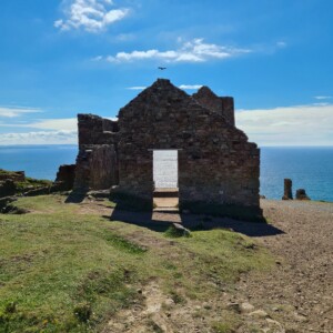 Wheal Coates 22