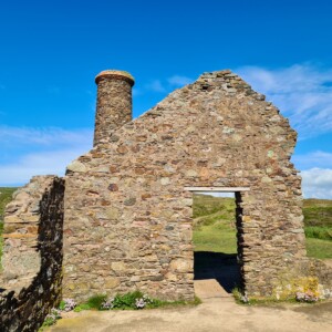 Wheal Coates 46