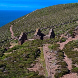 Wheal Coates 42