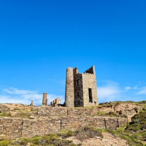 Wheal Coates 40