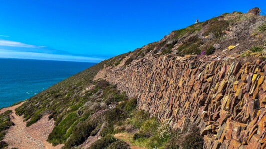 Wheal Coates 45