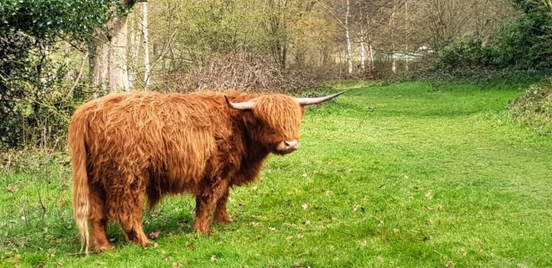 Yorkshire Sculpture Park 5